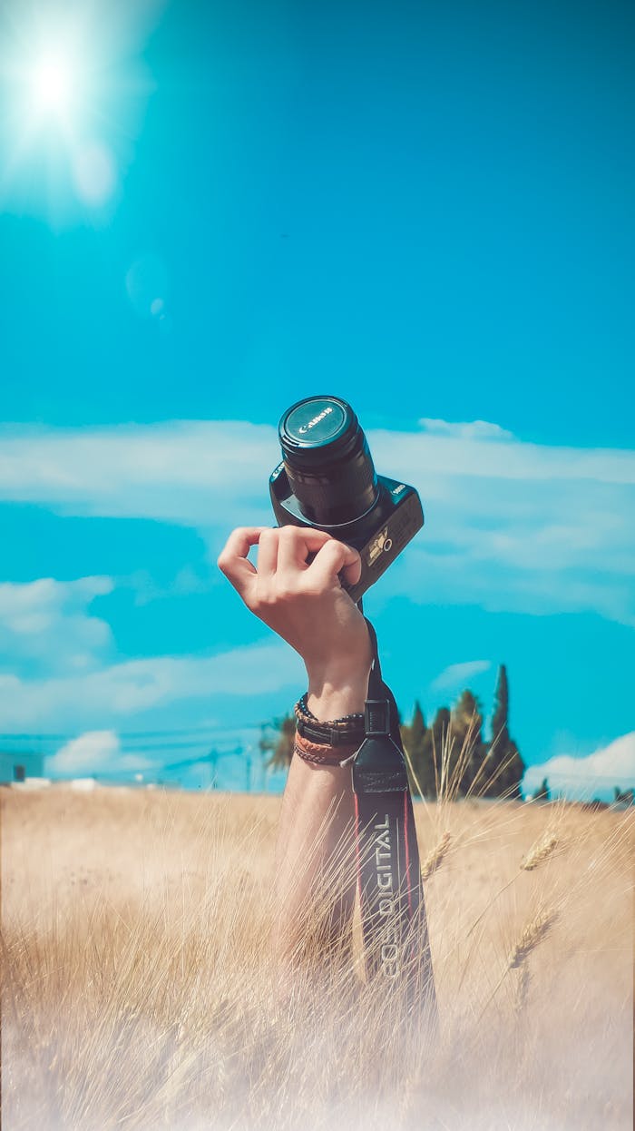 A hand raises a camera amidst a sunny field, evoking creativity and leisure.